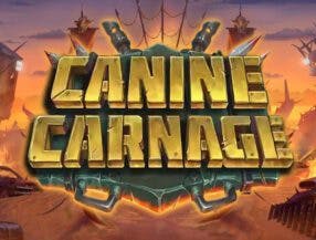 bwin casino login